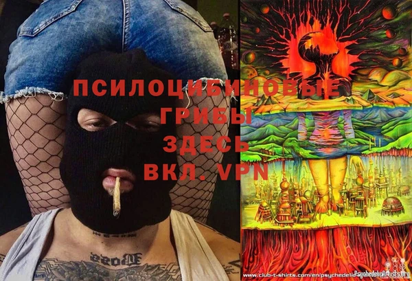 PSILOCYBIN Ступино