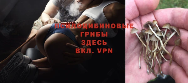 герыч Заволжск