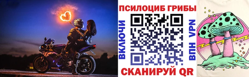 Галлюциногенные грибы Psilocybe Емва